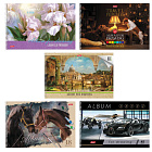 Альбом 48 л. Хатбер спираль, обложка картон "Ассорти"