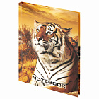 Блокнот А6 80л. Стафф Notebook "Тигровый", тв. лам. обложка