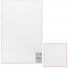 Белый картон грунтованный для живописи 50х80см, толщ. 2мм, акриловый грунт, двустор, шк 5852
