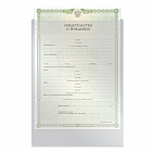 Папка-файл для свидетельства о рождении, 190*263 мм, без отверстий, 0,12 мм, ДПС, 1746