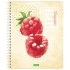 Тетрадь А5, 80 л., HATBER ECO, спираль, клетка, обложка картон, "Fruit Style" (4 вида), 80Т5C1сп