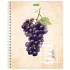 Тетрадь А5, 80 л., HATBER ECO, спираль, клетка, обложка картон, "Fruit Style" (4 вида), 80Т5C1сп